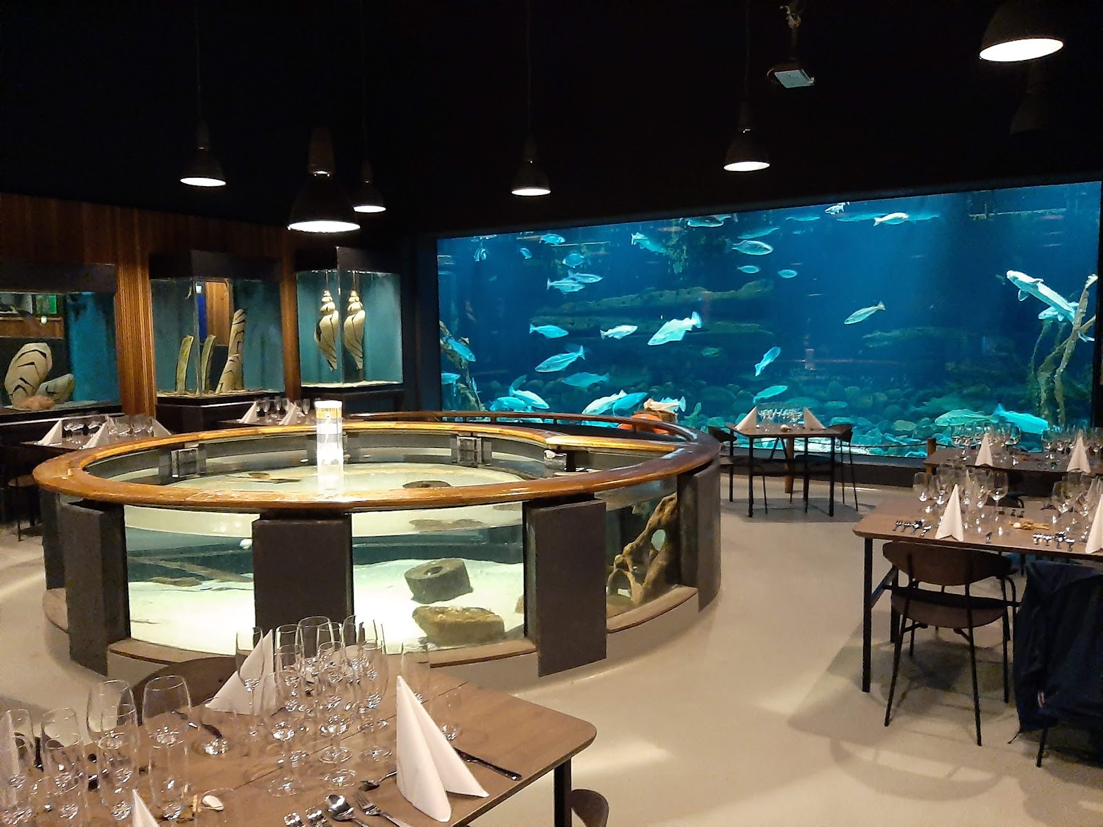 Bild 7 von Fiskeri- og Søfartsmuseet