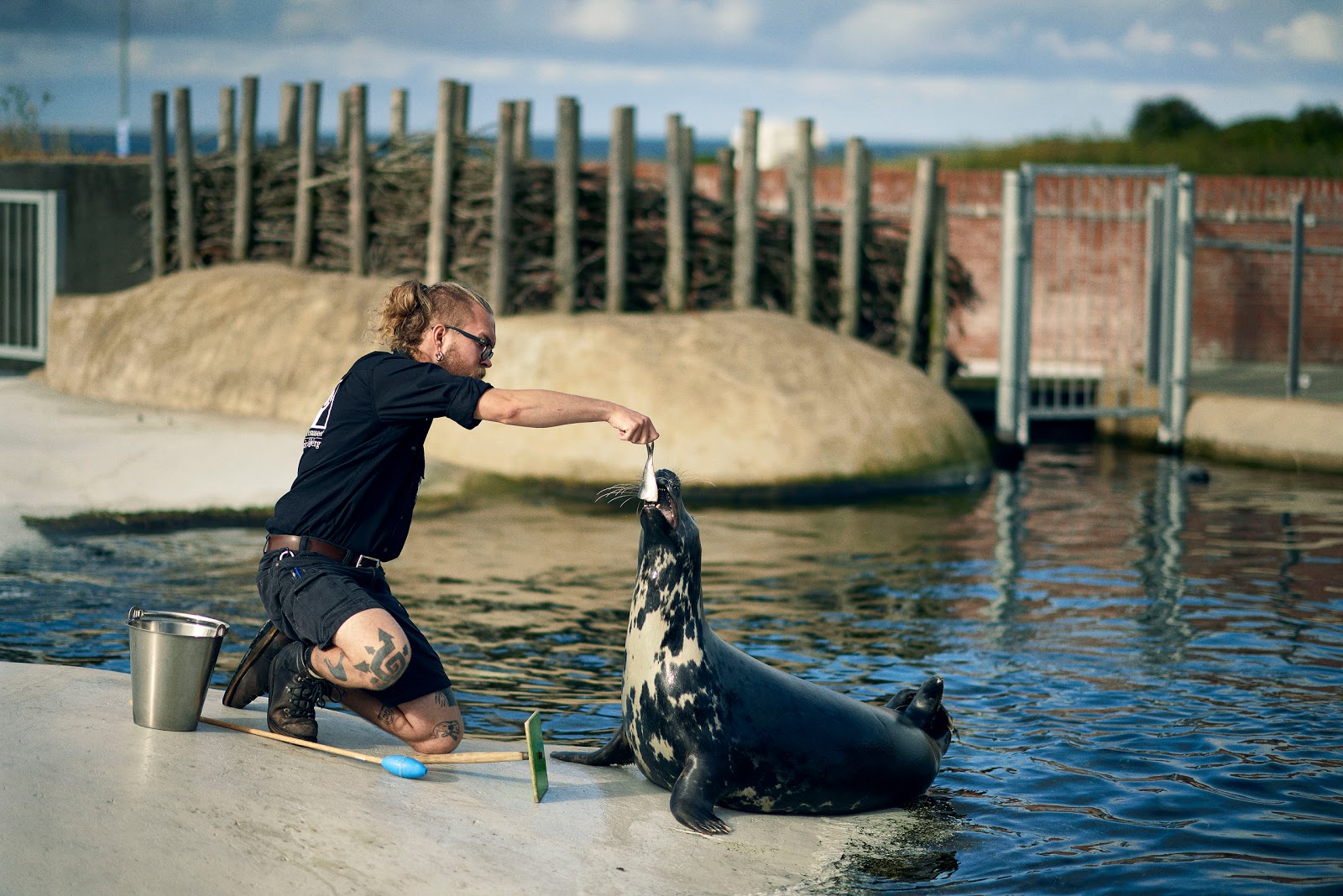 Bild 6 von Fiskeri- og Søfartsmuseet