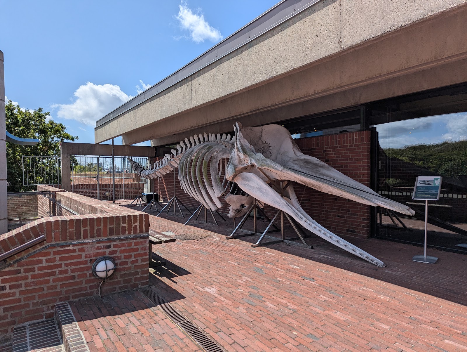 Bild 5 von Fiskeri- og Søfartsmuseet