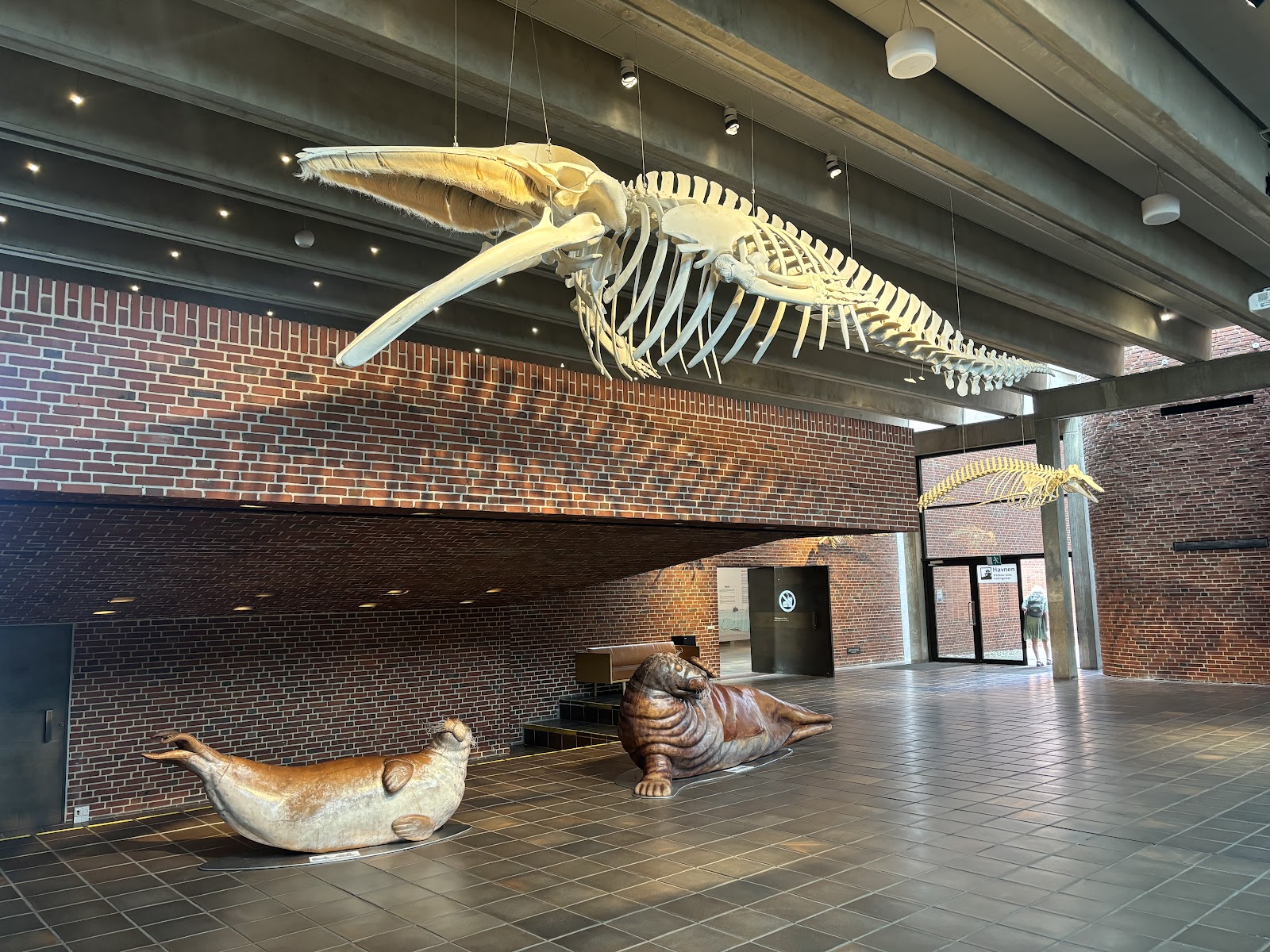 Bild 3 von Fiskeri- og Søfartsmuseet