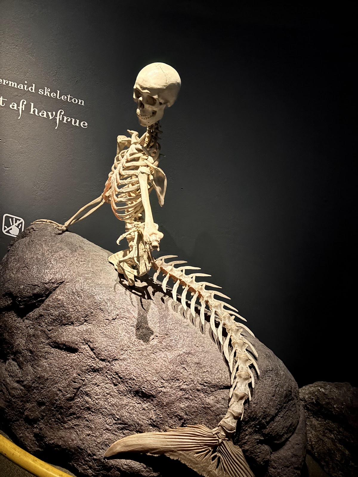 Bild 16 von Fiskeri- og Søfartsmuseet