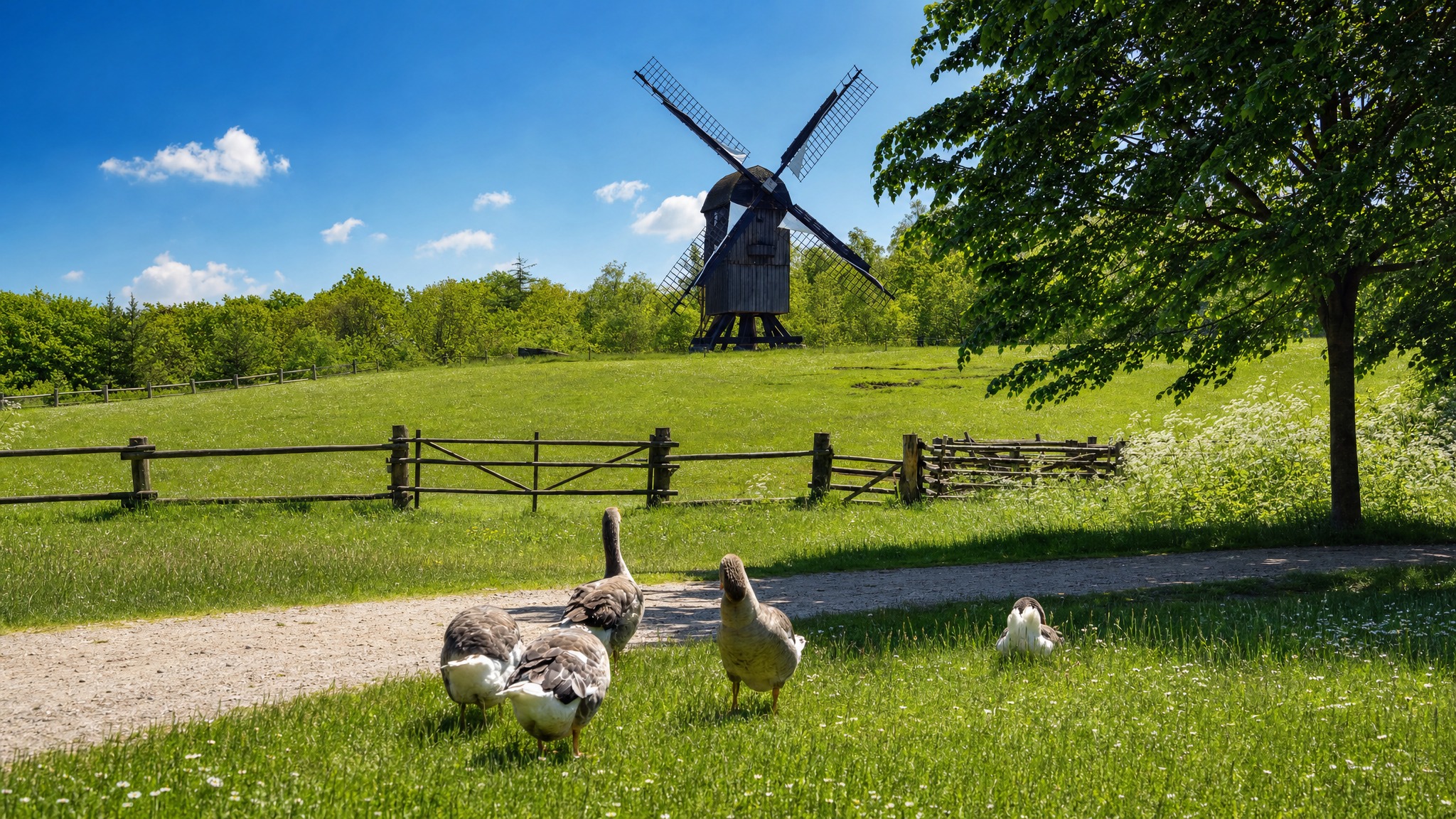 Frilandsmuseet Hjerl Hede - Sehenswürdigkeit in Mitteljütland (Nordsee), Dänemark