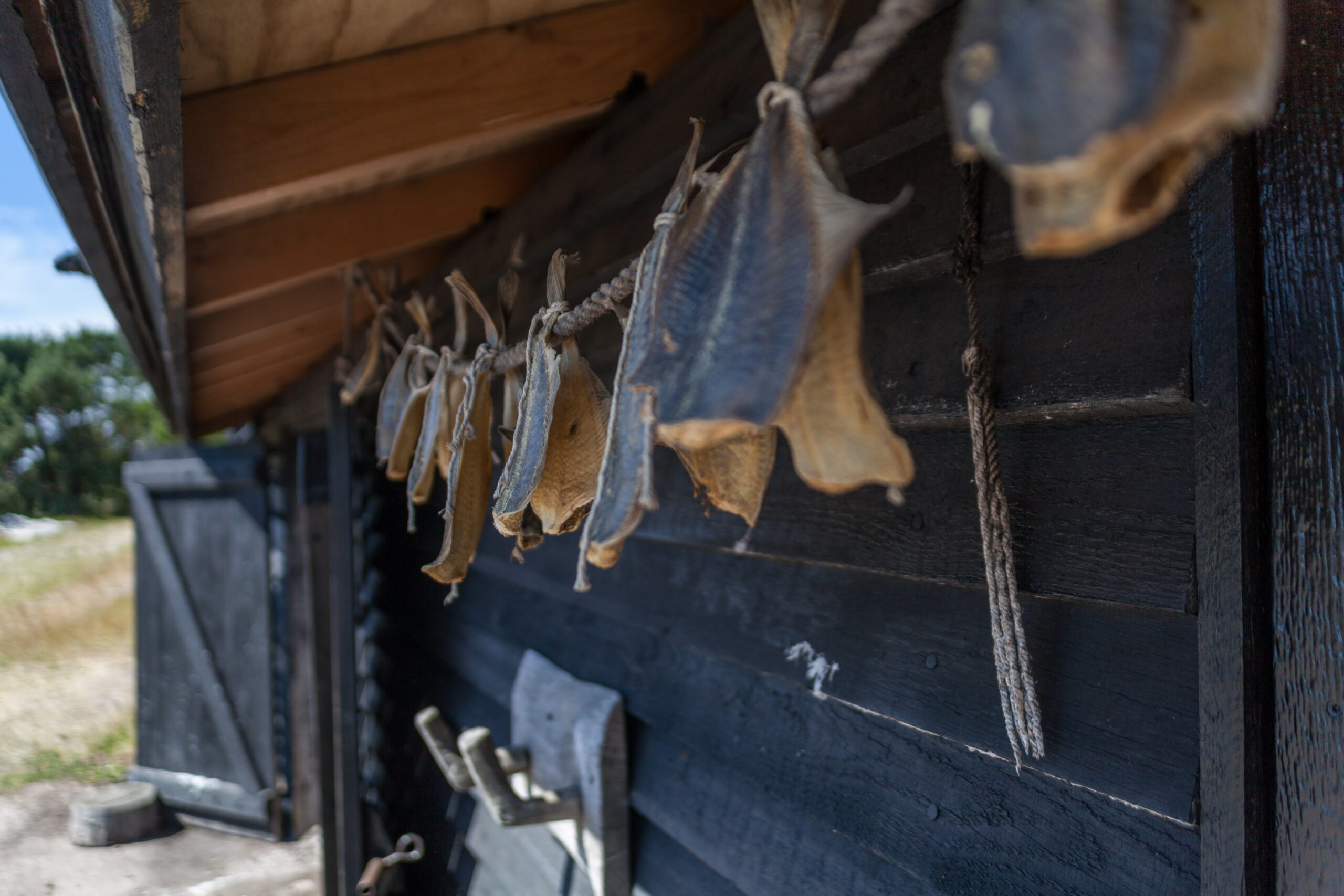 Bild 13 von Læsø Saltsyderi