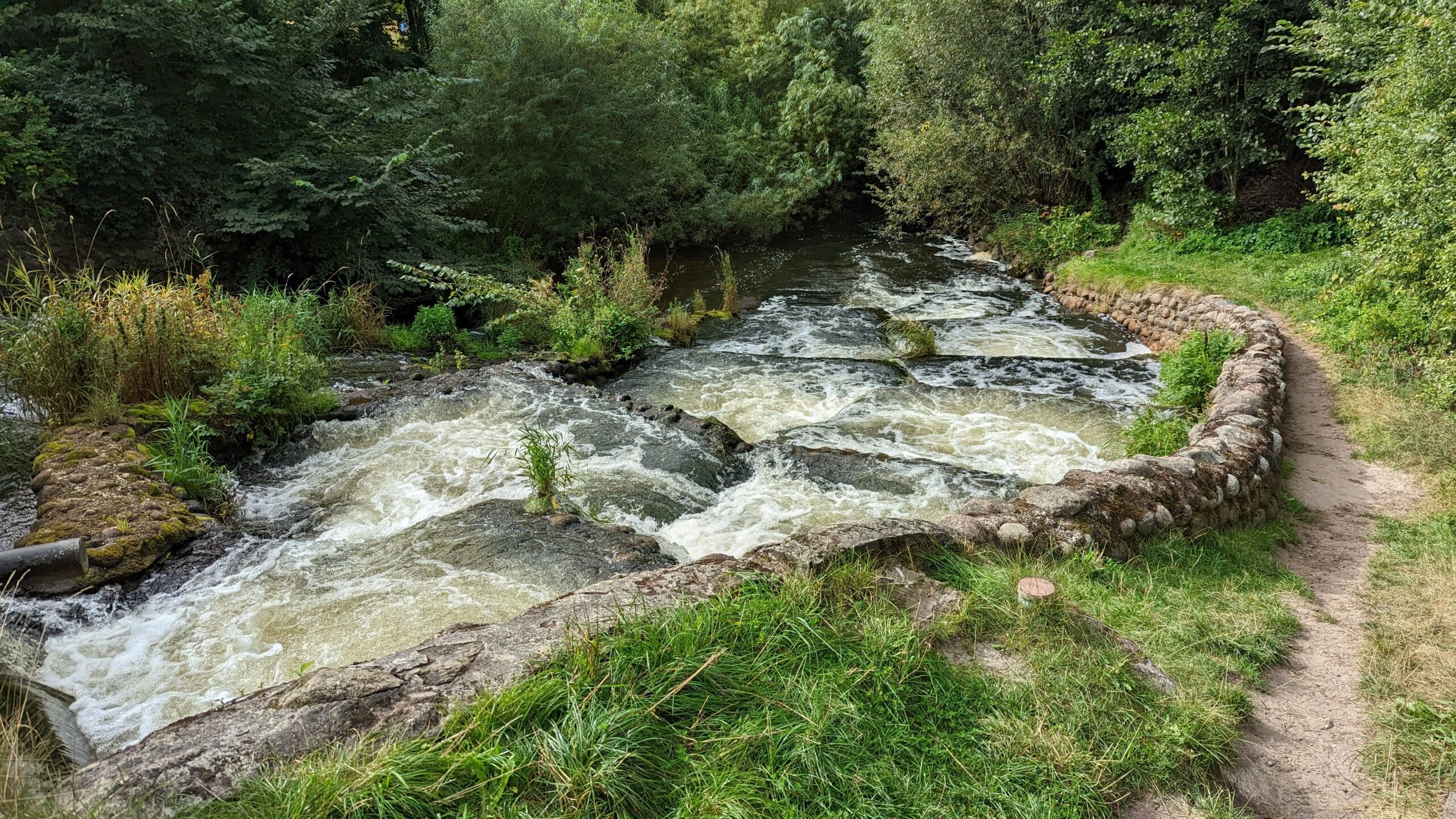 Fischtreppe Bindslev
