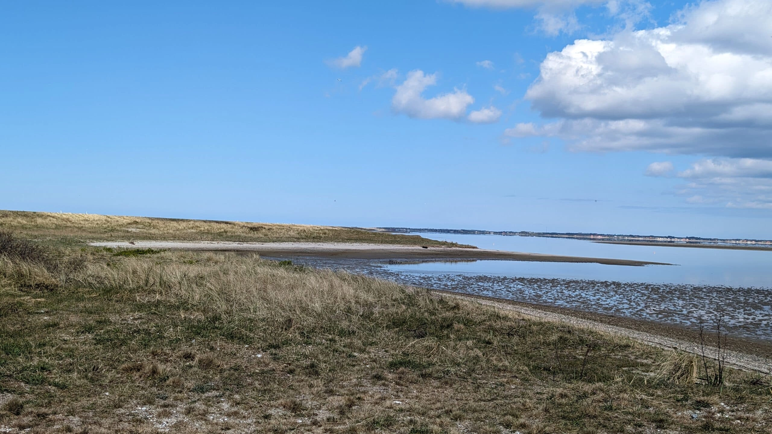 Aussichtspunkt auf Krik Sandø