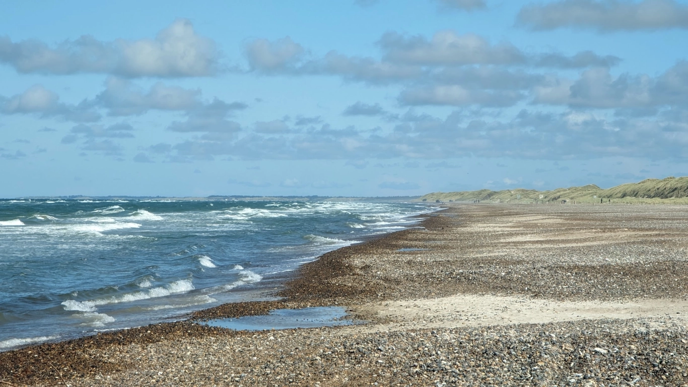 Bild 5 von Tranum Strand