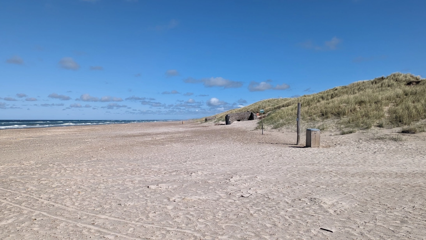 Bild 8 von Tranum Strand