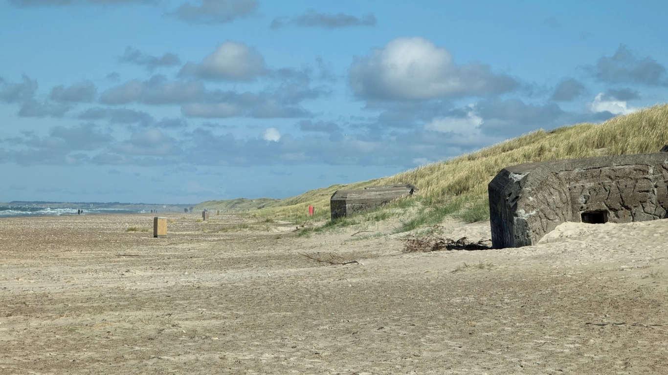 Bild 1 von Tranum Strand