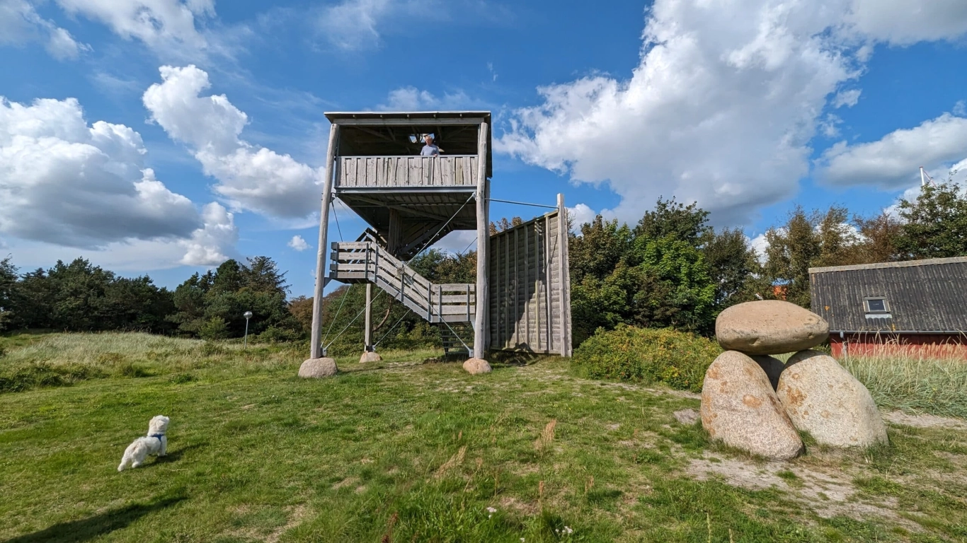 Bild 2 von Hou Batterie