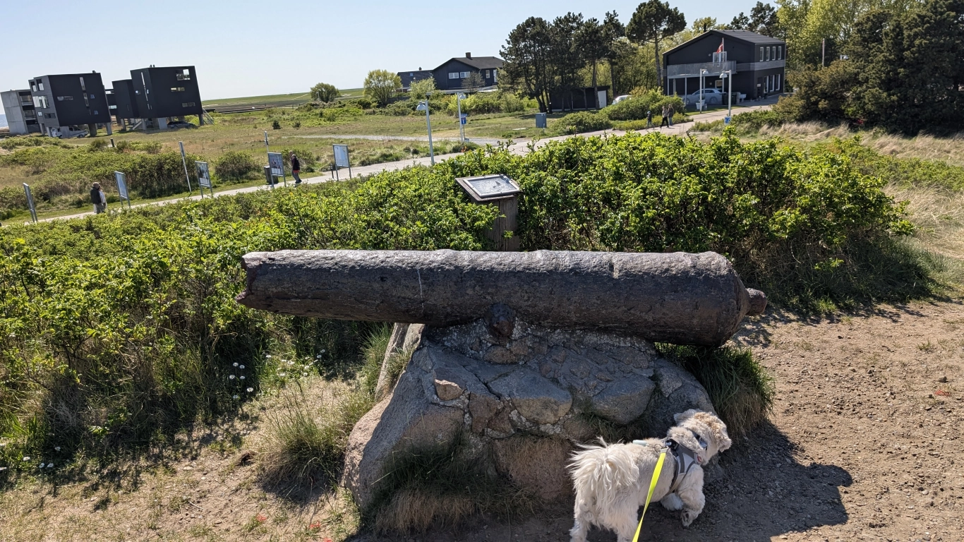 Bild 3 von Kanonenhügel