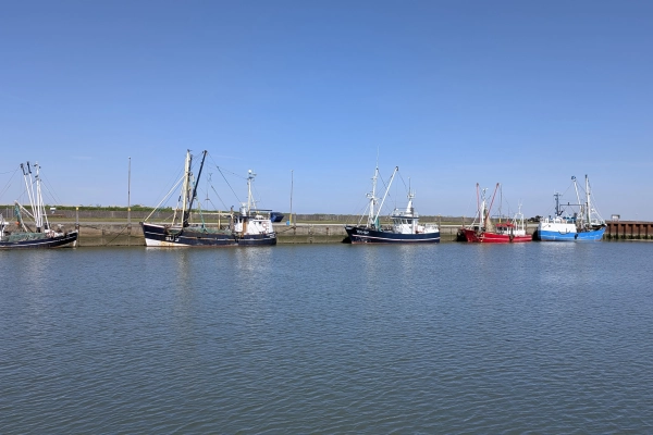 Hafen Rømø
