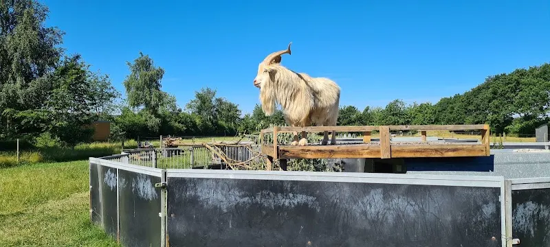 Lægårdens Camping