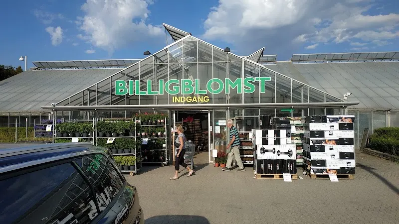 Billigblomst Næstved