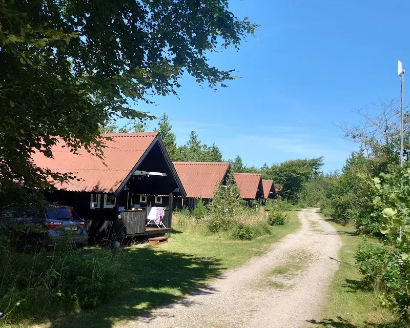 Tranum Klit Camping