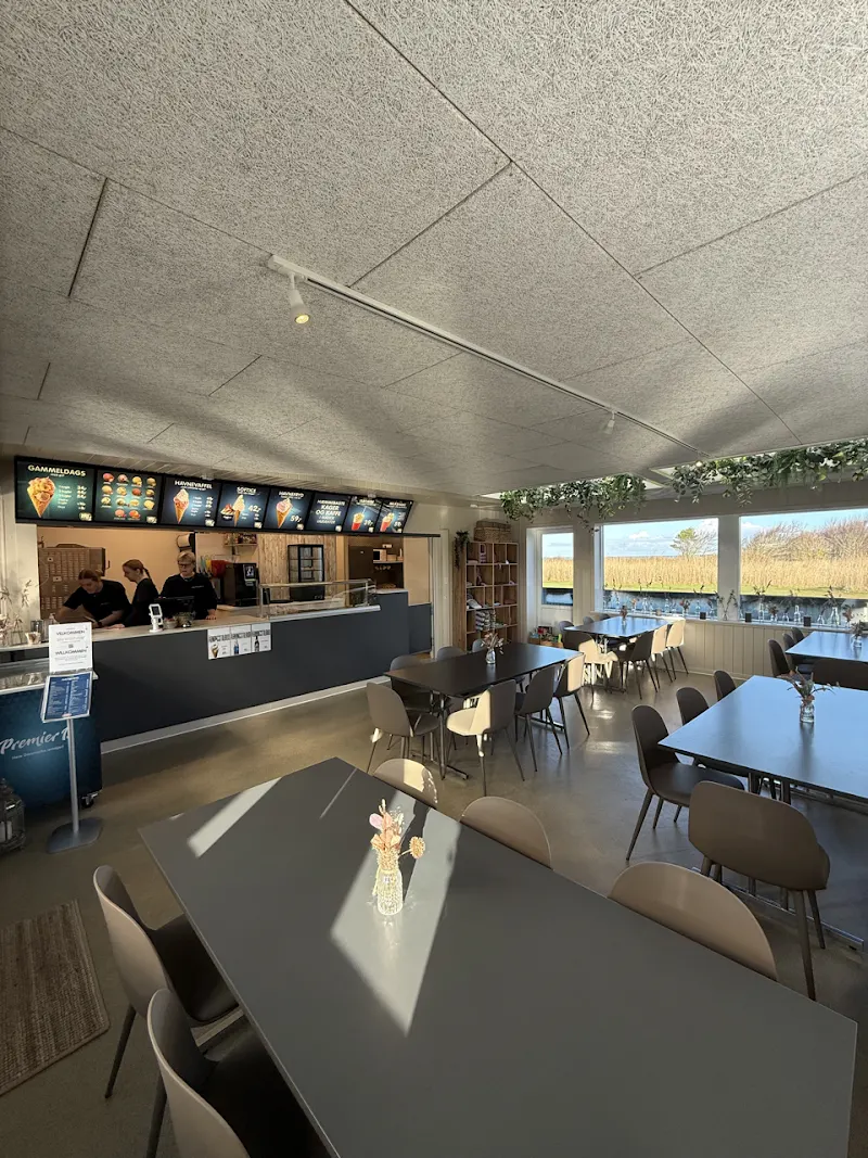 Café Havnefryd