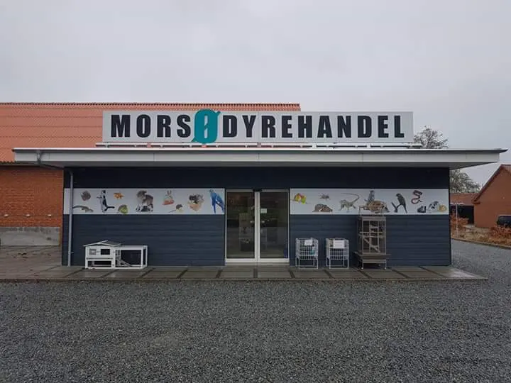 Morsø Hobbyfisk og Dyrehandel