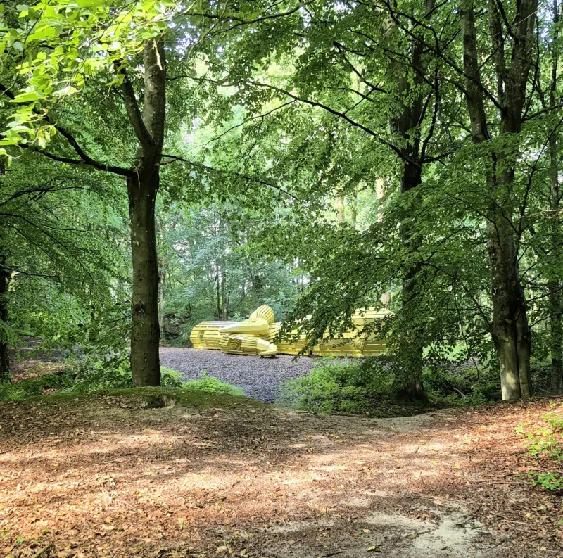 Deep Forest Art Land