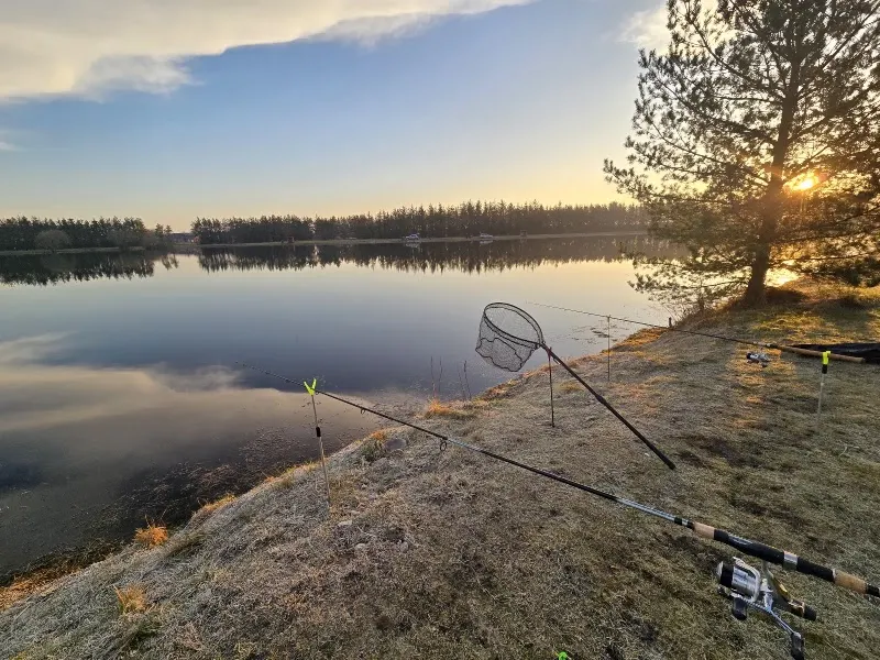 Rødekro Fiskepark