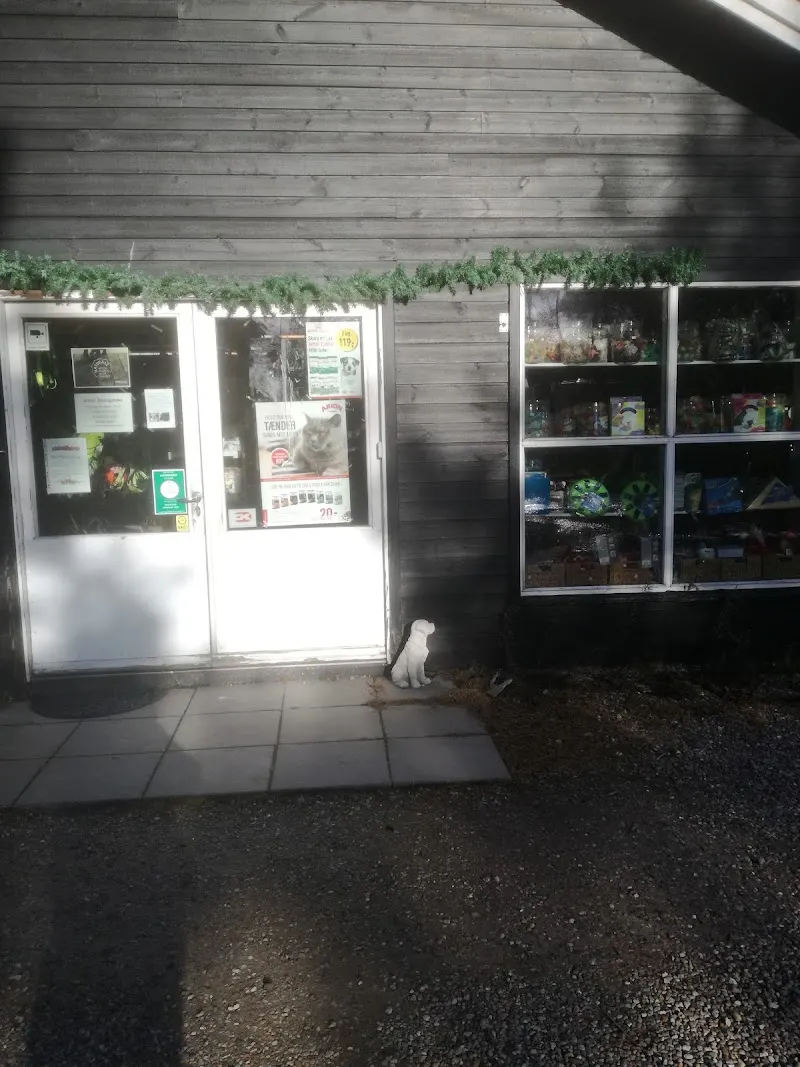 Alt til hund og kat