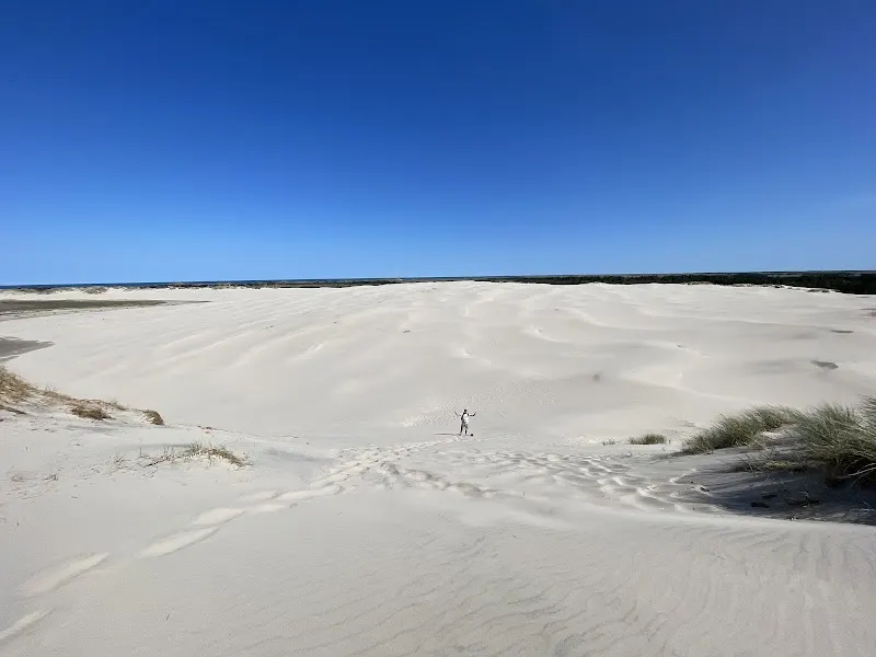 Råbjerg Mile