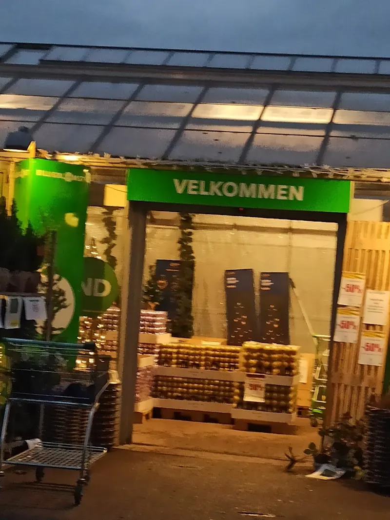 Billigblomst Langeskov