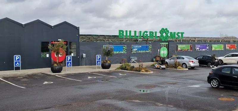 Billigblomst Sønderborg Augustenborg