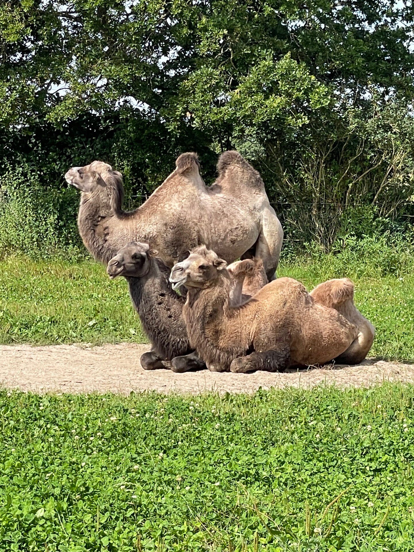 Munkholm Zoo